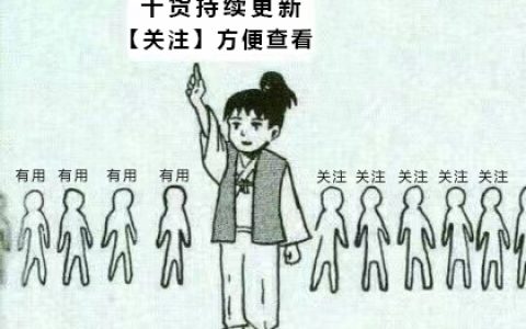 ipad必装软件推荐（ipad必装的十大免费软件）
