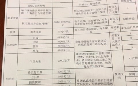 付费推广渠道有哪些（推广计划和方案）