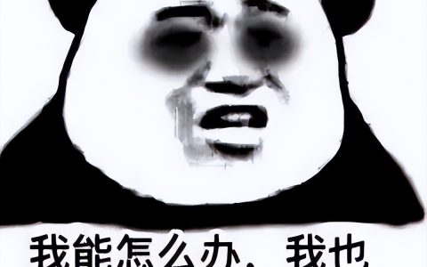 photoshop2022新功能体验（Adobe网页版PS安装教程）