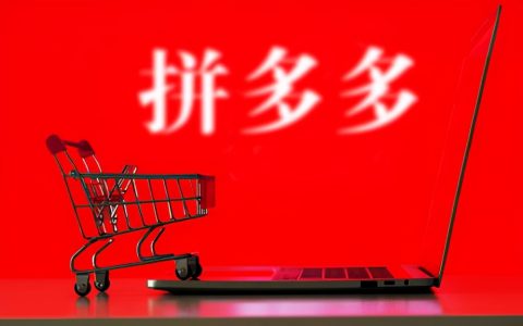 一张营业执照开5个店铺（拼多多无货源店群模式）