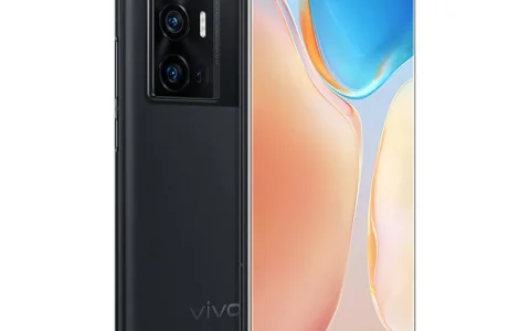 vivo手机哪款性价比高质量好（VIVO品牌高性价比手机推荐）