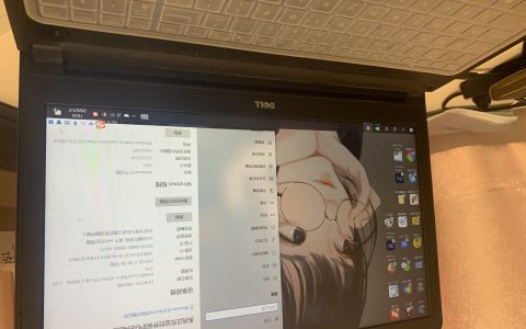 纯净版系统怎么安装（快速分区MBR和GUID如何选择）