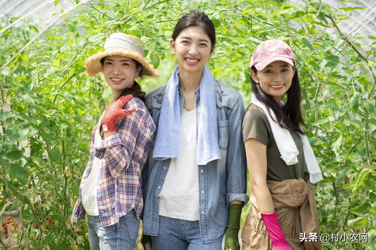 在老家创业有什么好项目（返乡创业也能月入上万）