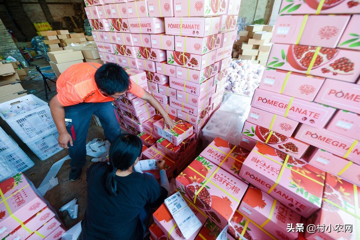 在老家创业有什么好项目（返乡创业也能月入上万）
