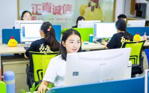 电商客服为何天天招人？(电商客服主要做什么？)