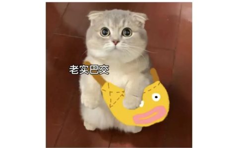 亚马逊广告应该多久优化一次