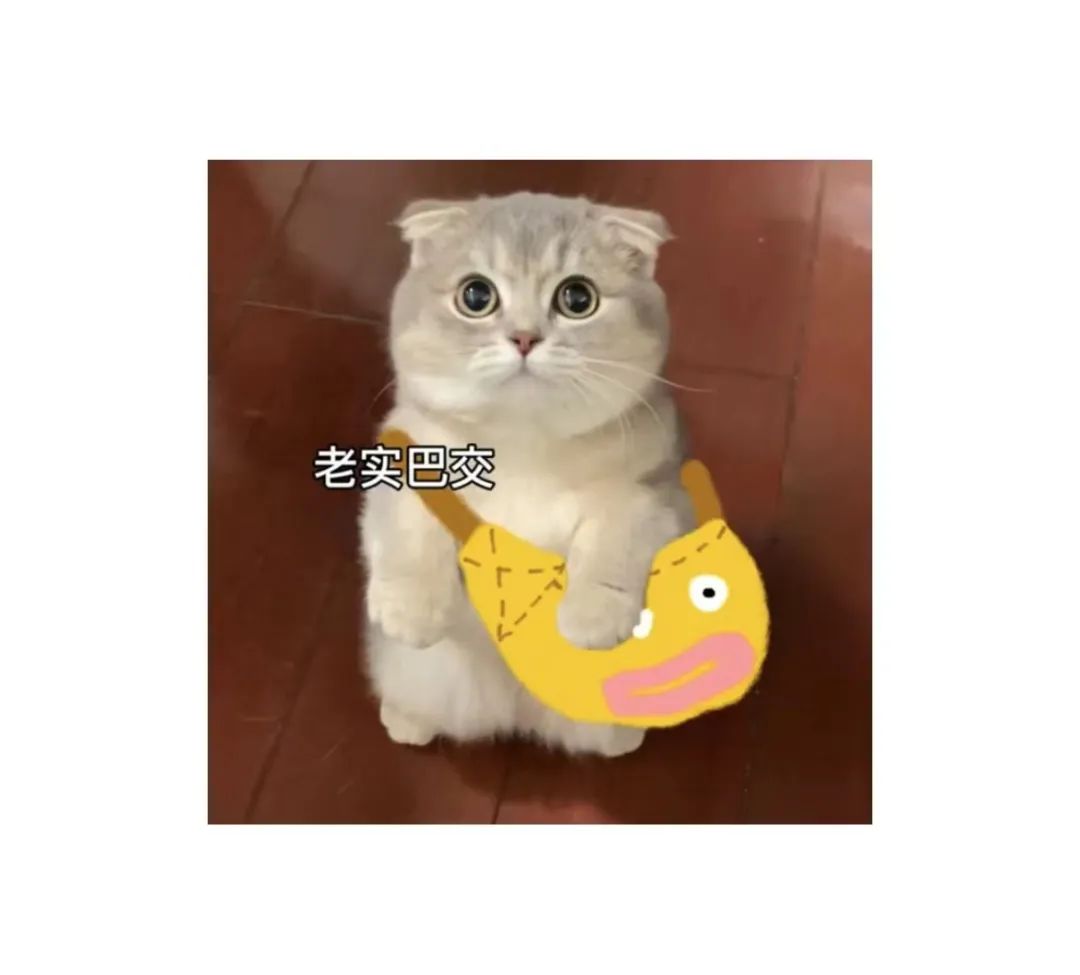亚马逊广告应该多久优化一次
