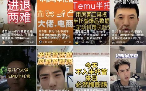 temu半托管是什么？跨境卖家探索解密